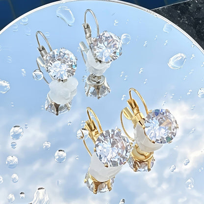 Earrings, Stainless Steel