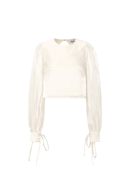 Glanzende parelblouse